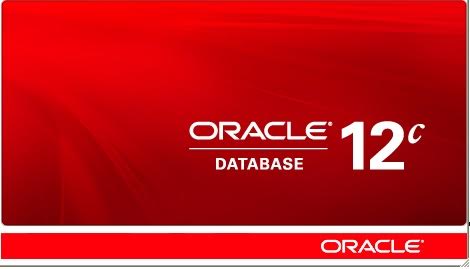 Oracle Veritabanı