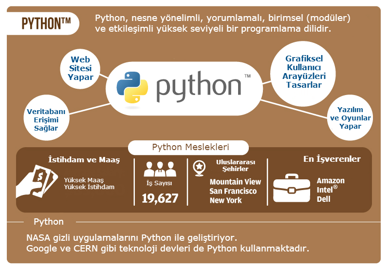 Python Programlama Dili (İnfografik)