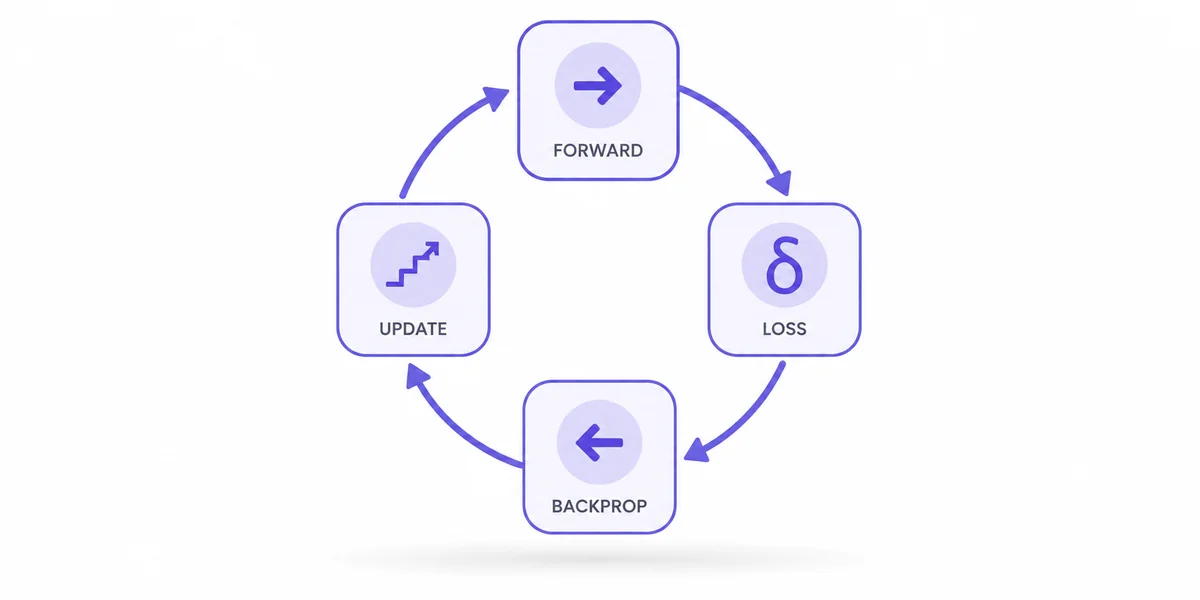 Sinir ağı eğitim döngüsünün dört aşaması Forward pass, loss hesabı, backpropagation ve weight update aşamalarını gösteren dört adımlı eğitim döngüsü