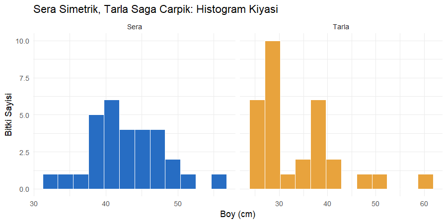 İki ortamın histogramlarında çarpıklık farkı Sera ve tarla boy ölçümlerinin histogramları, sera simetrik tepe, tarla sağa uzayan kuyruk